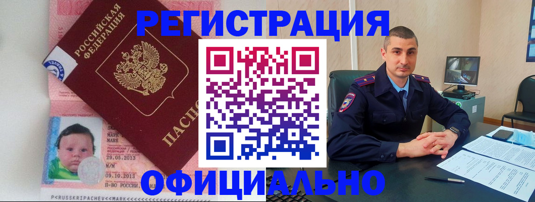прописка поиск в Александровске